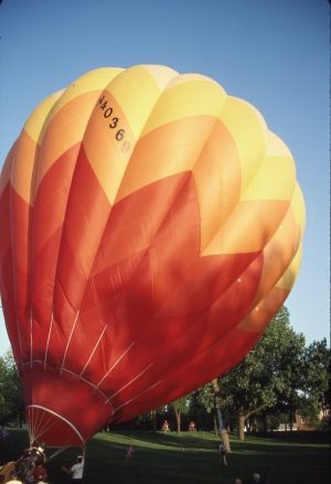NBHA slides1293